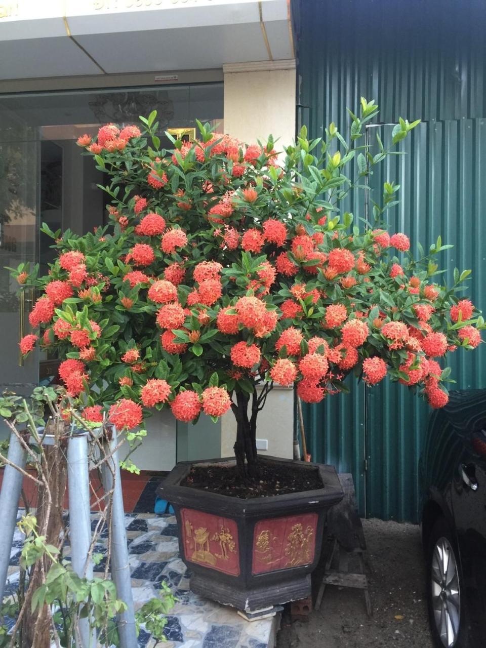 Nha Nghi Anh Dung Bed & Breakfast Ha Long Exterior foto